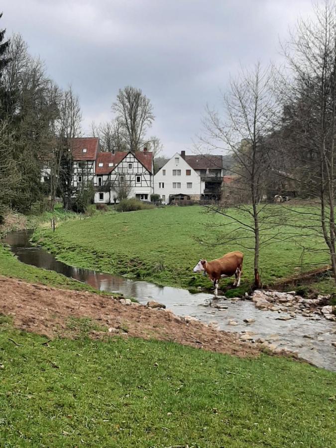 Haus An Der Werbe Lägenhet Waldeck  Exteriör bild