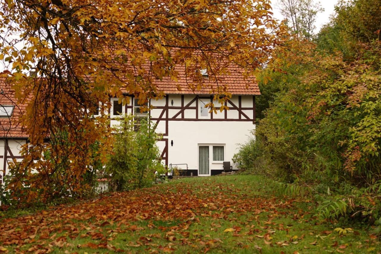 Haus An Der Werbe Lägenhet Waldeck  Exteriör bild