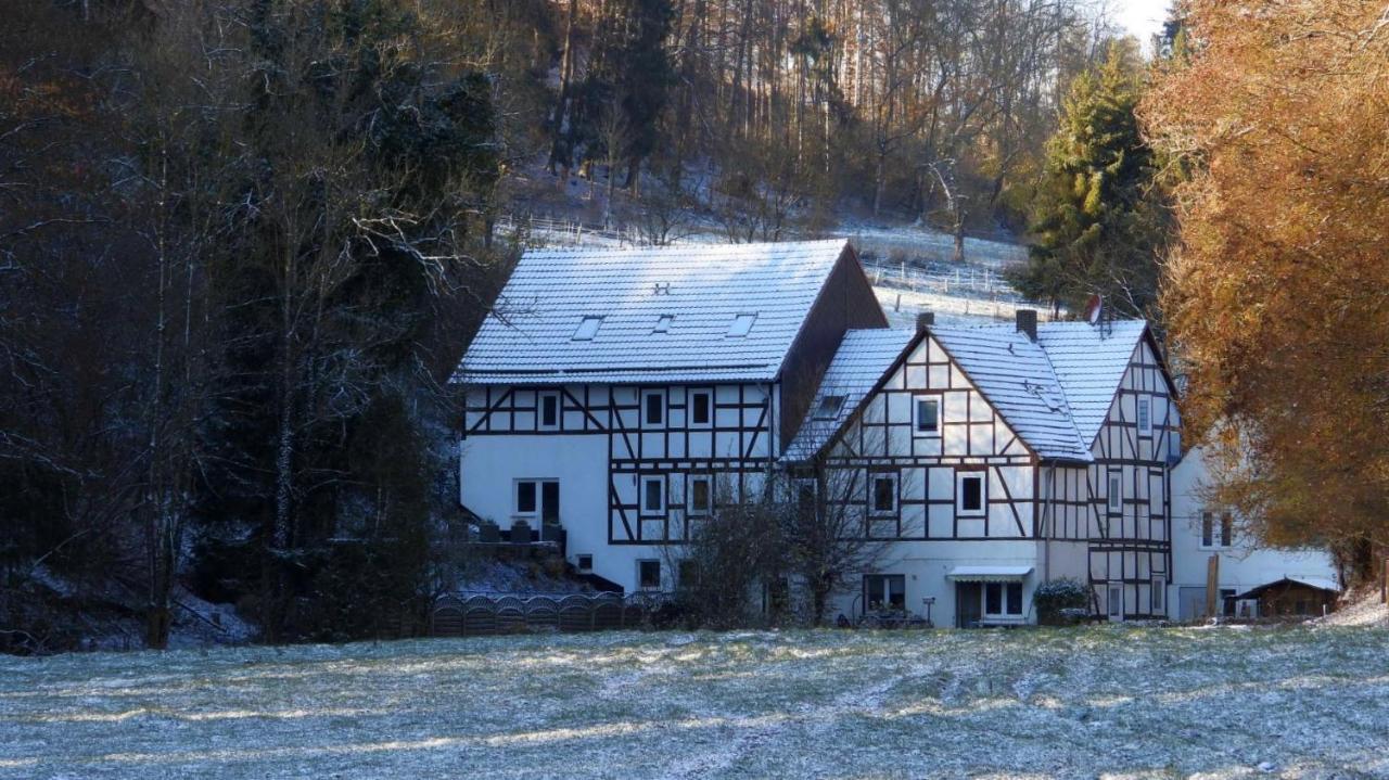 Haus An Der Werbe Lägenhet Waldeck  Exteriör bild