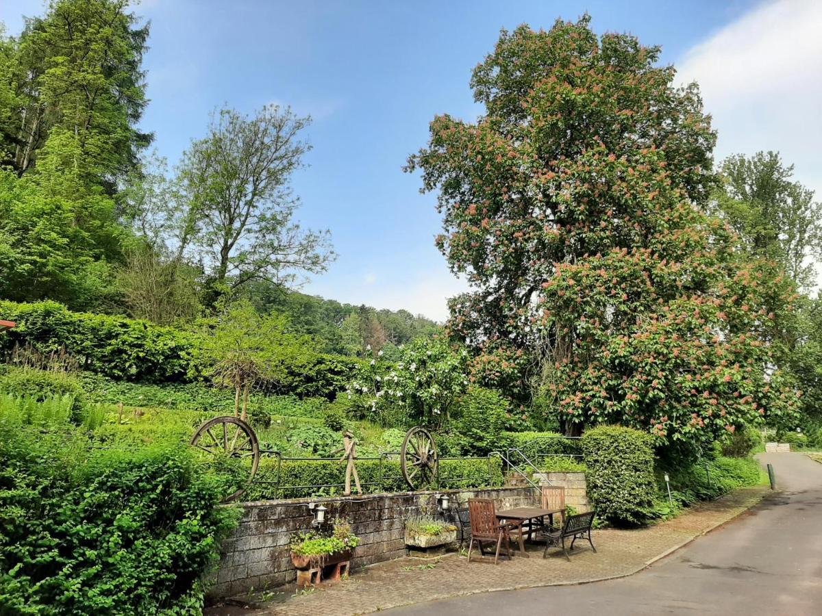 Haus An Der Werbe Lägenhet Waldeck  Exteriör bild