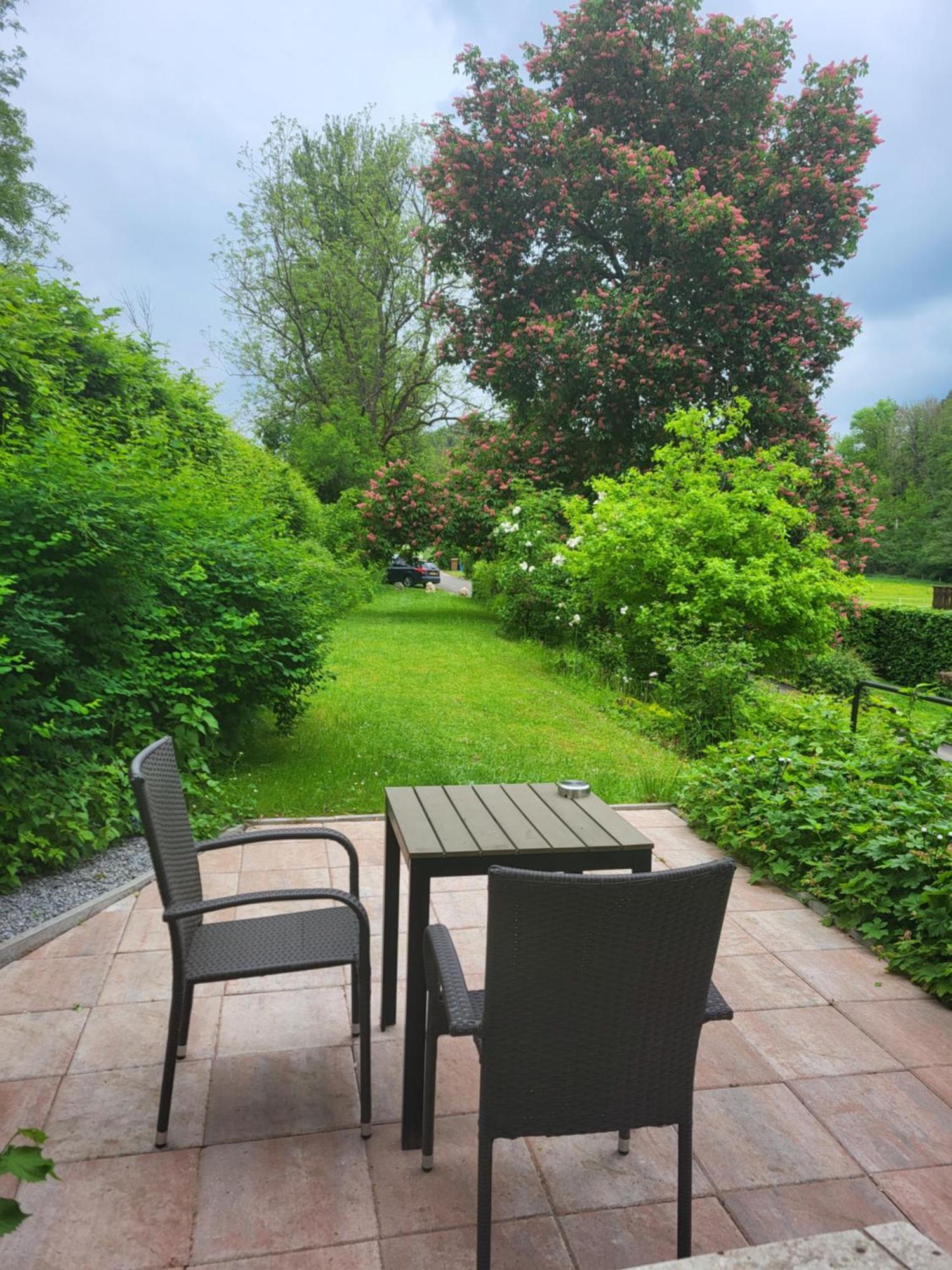 Haus An Der Werbe Lägenhet Waldeck  Exteriör bild